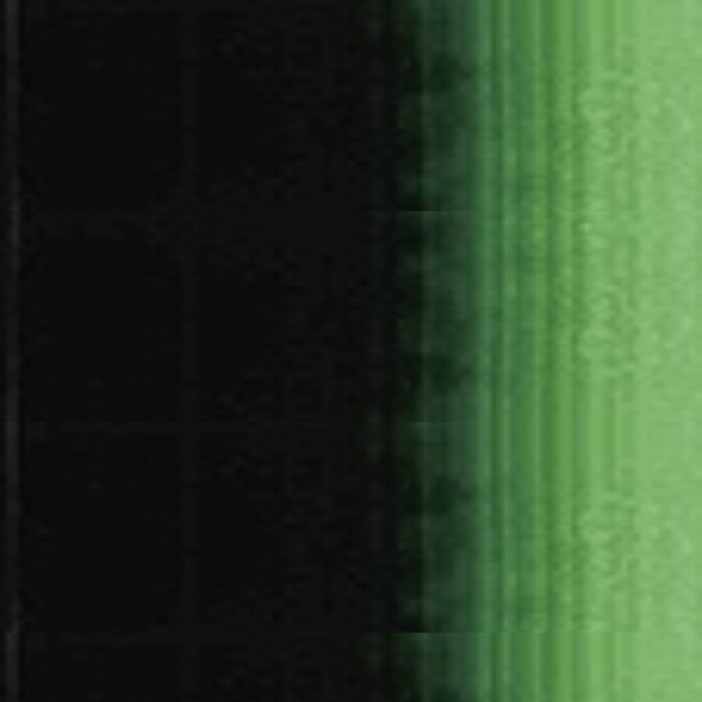 Hooker's Green Holbein Heavy Body Acrylic Paints 60ML