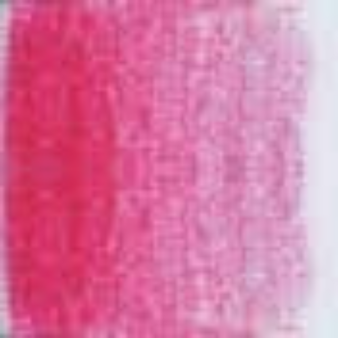Rose Holbein Artists' Colored Pencils