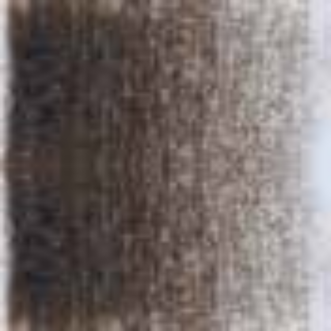 Sepia Holbein Artists' Colored Pencils