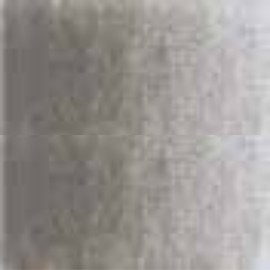 Warm Grey #4 Holbein Artists' Colored Pencils