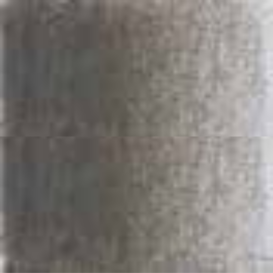 Warm Grey #5 Holbein Artists' Colored Pencils