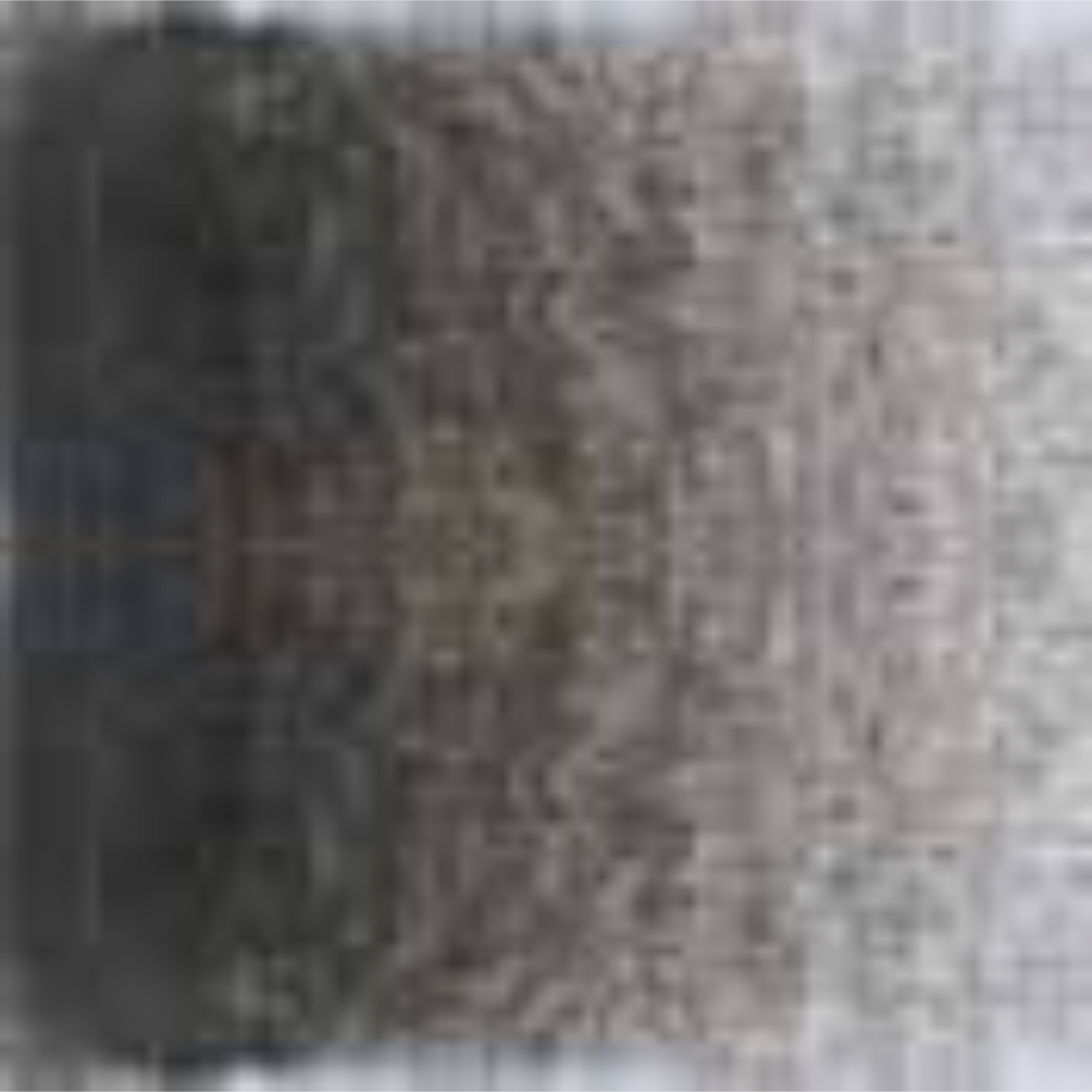 Warm Grey #6 Holbein Artists' Colored Pencils