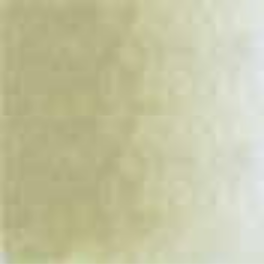 Willow Green Holbein Artists' Colored Pencils