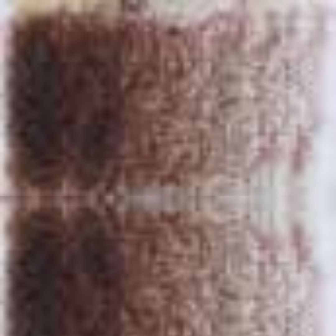 Burnt Umber Holbein Artists' Colored Pencils