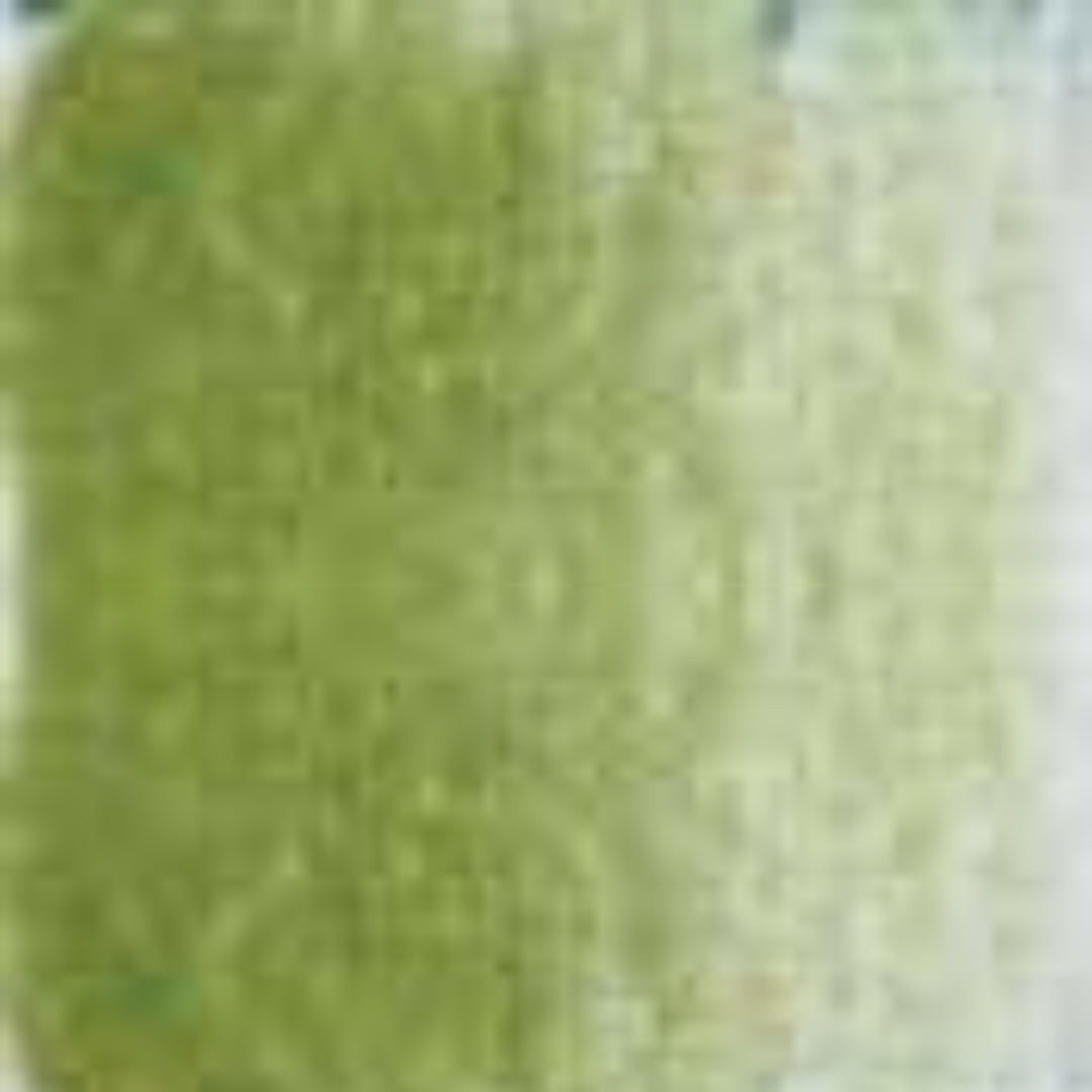 Moss Green Holbein Artists' Colored Pencils