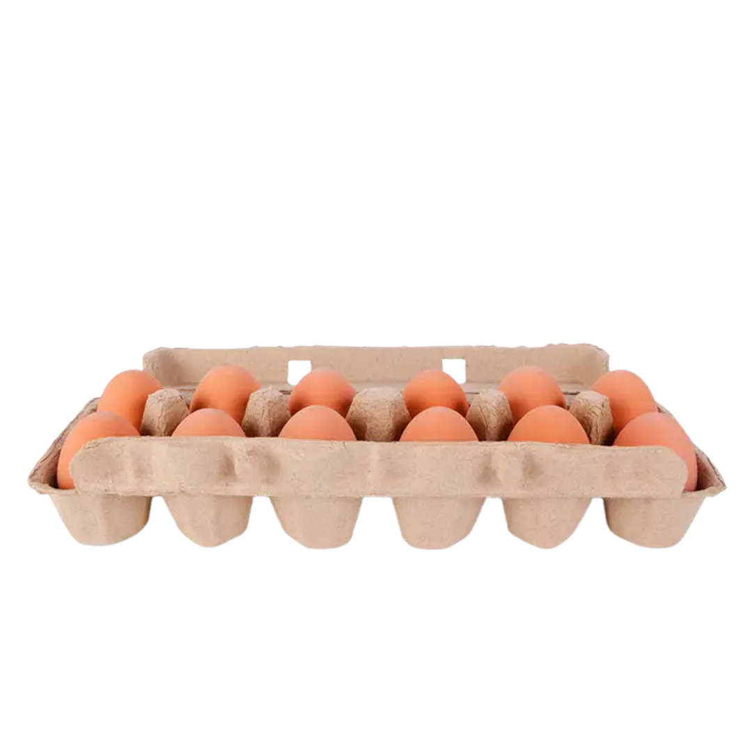 Egg Bouncy Balls