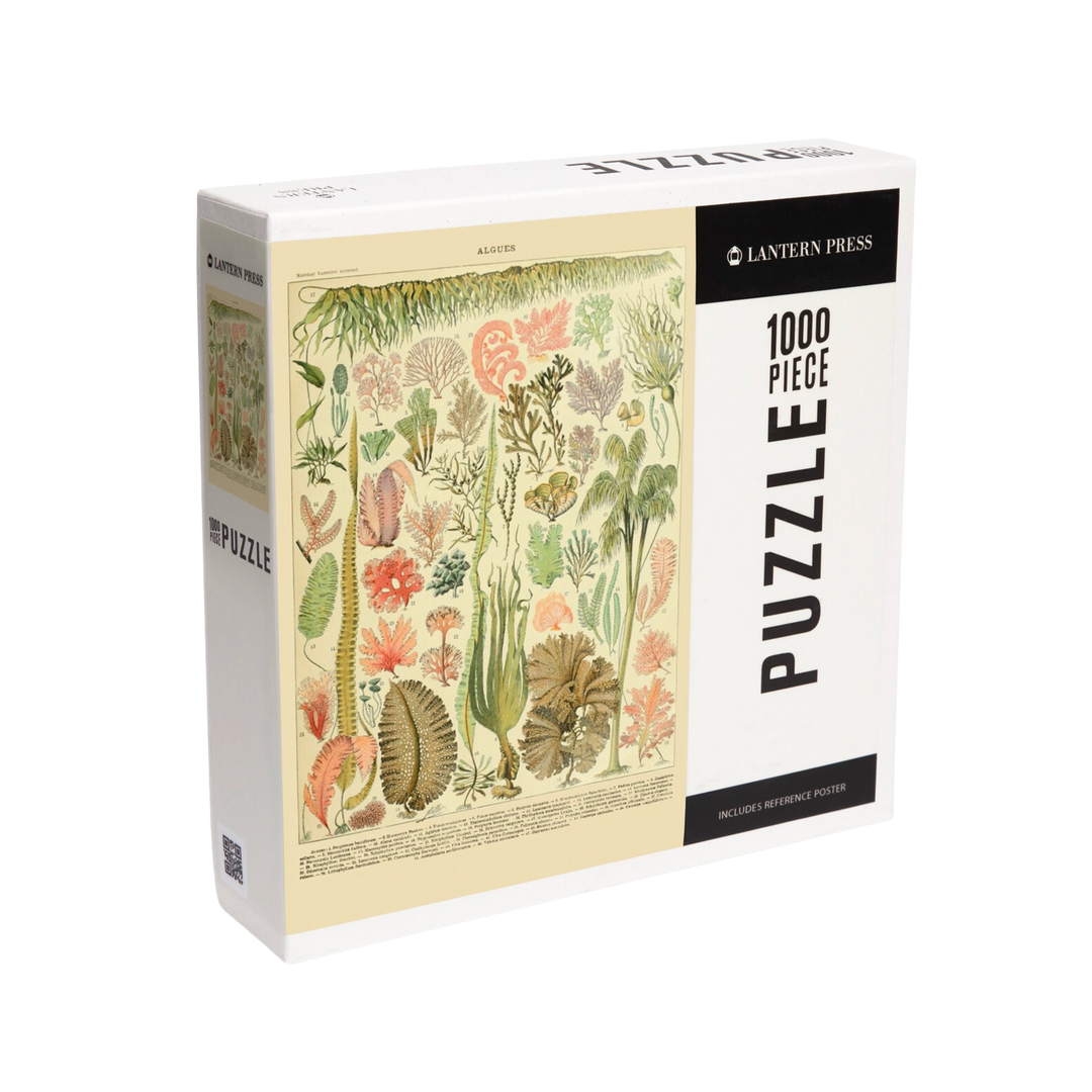 Algae, Vintage Bookplate - 1000pc Puzzle