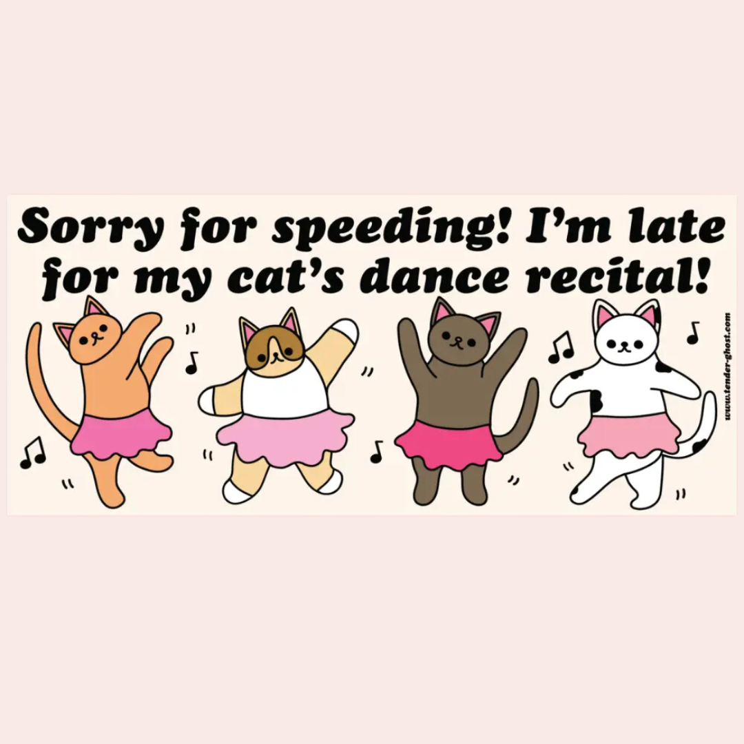 My Cat's Dance Recital Bumper Sticker