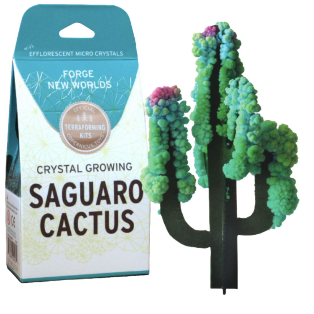 Crystal Growing Saguaro Cactus
