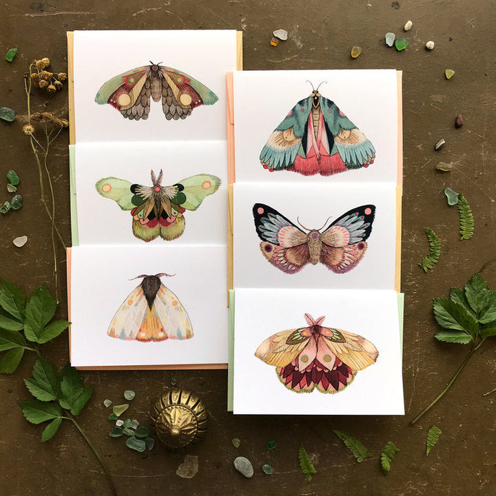 Collector: Moths Set 2 - Small Greeting Card Pack