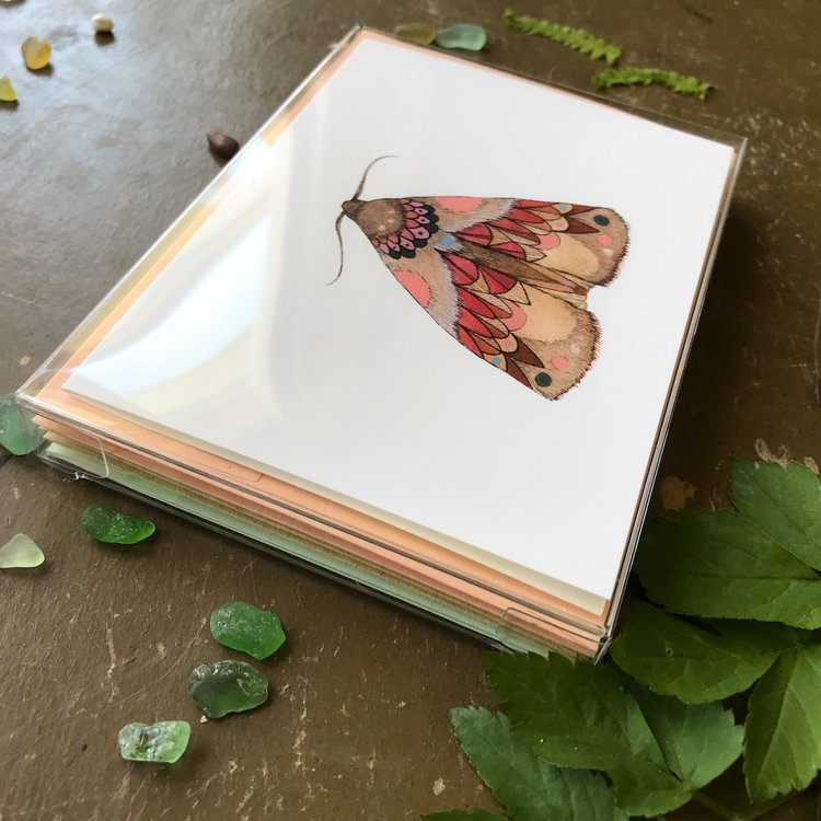 Collector: Moths Set 1 - Small Greeting Card Pack