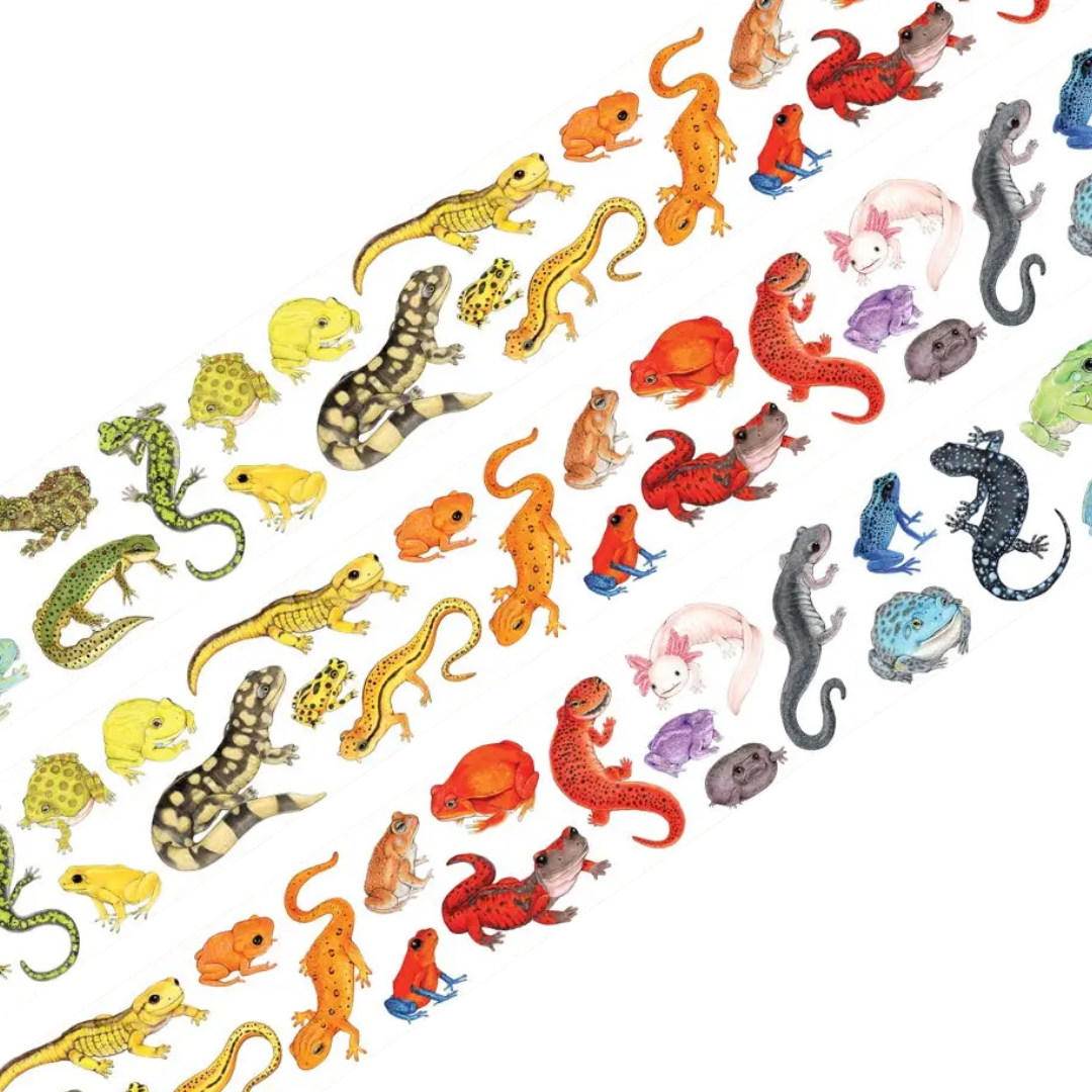 Rainbow Amphibians Pride Washi Tape
