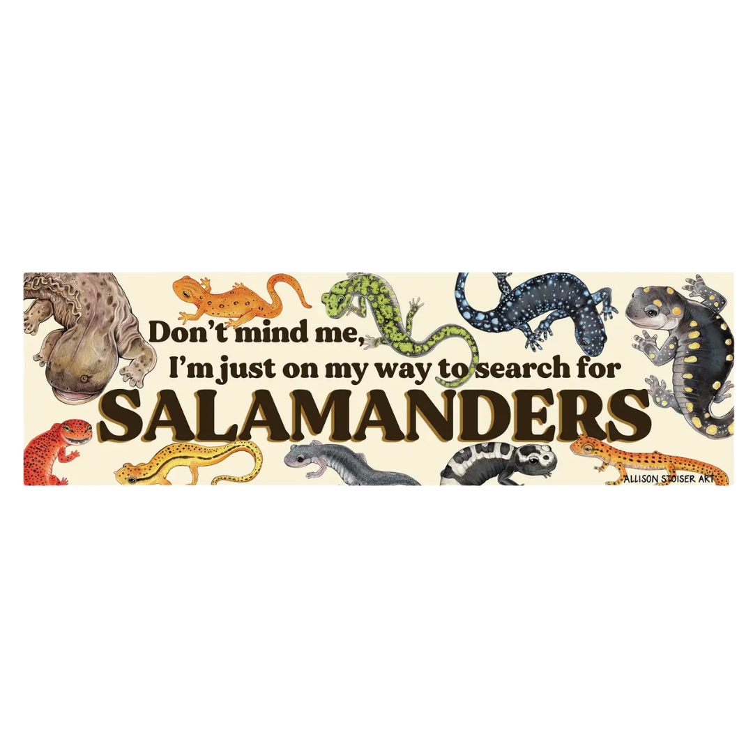 On My Way To Search For Salamanders Bumper Magnet