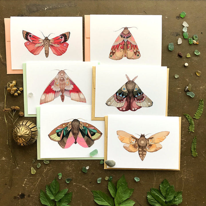 Collector: Moths Set 1 - Small Greeting Card Pack