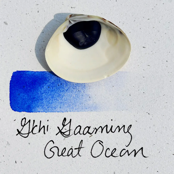 Shell Paints