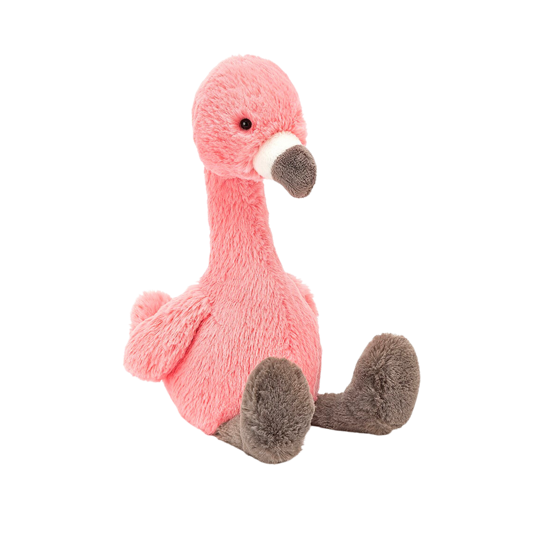 Bashful Flamingo