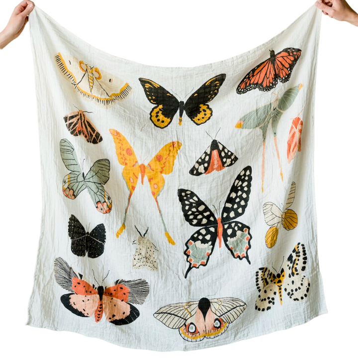 Butterfly Collector Swaddle