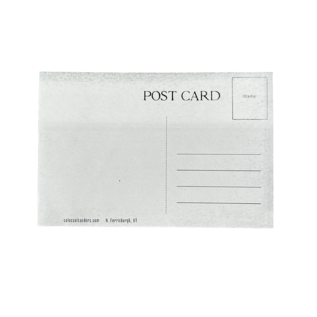 Bernie Sanders Statue Postcard