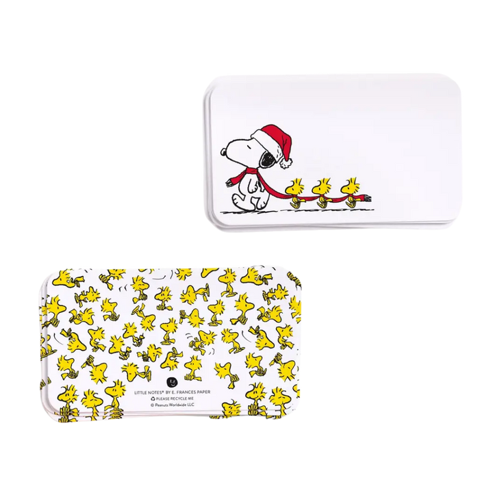 Peanuts Snoopy Long Scarf Little Notes® Notecards (55ct)