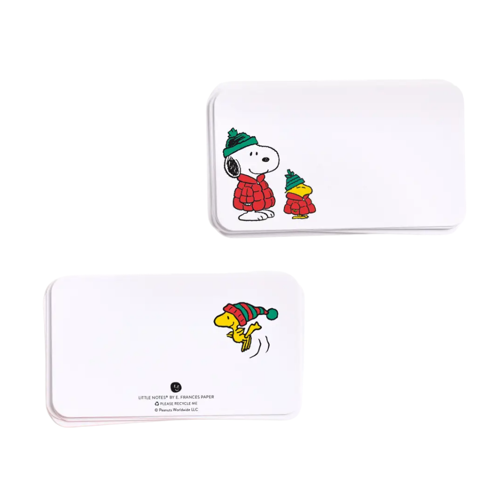 Peanuts Snoopy & Woodstock Puffer Little Notes® Notecards (55ct)