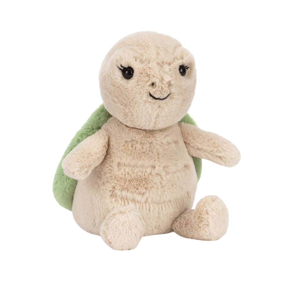 Thimble Turtle