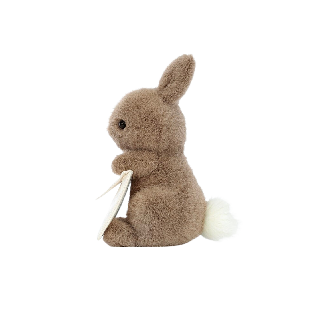 Messenger Bunny