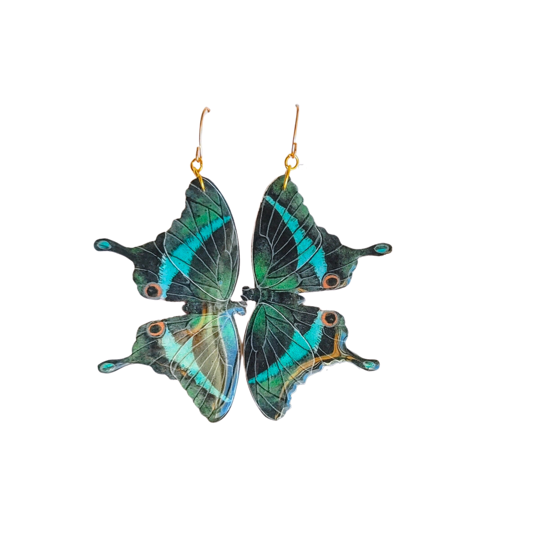 Peacock Swallowtail Butterfly Earrings