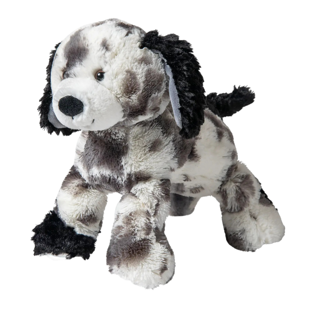 Pablo Puppy