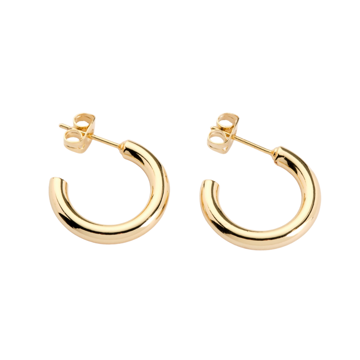 Tessa Tube Hoops