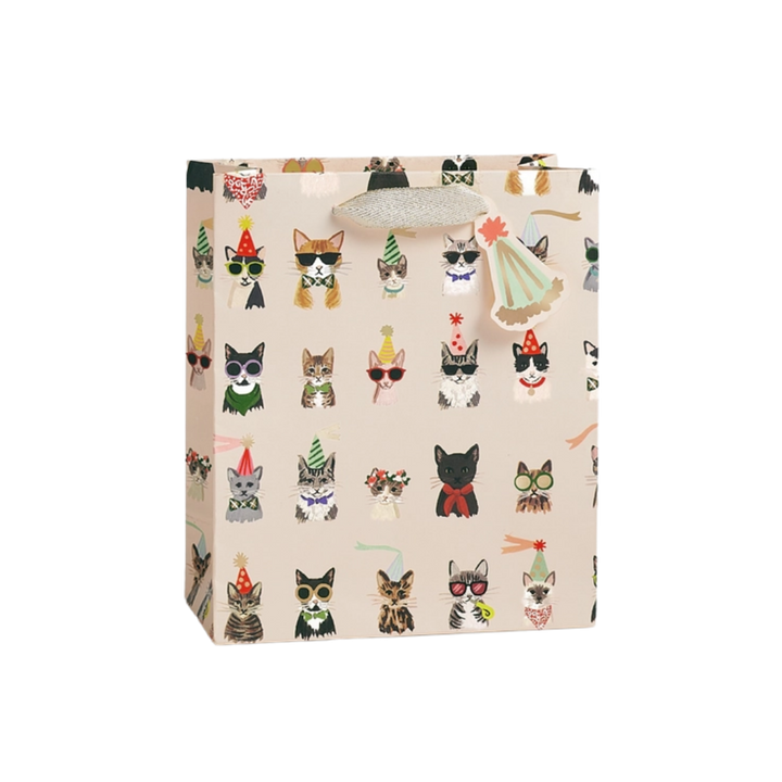 Party Cats Gift Bag