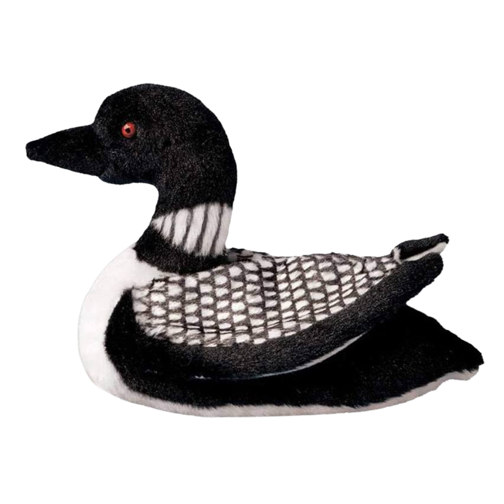 Ludwig Loon