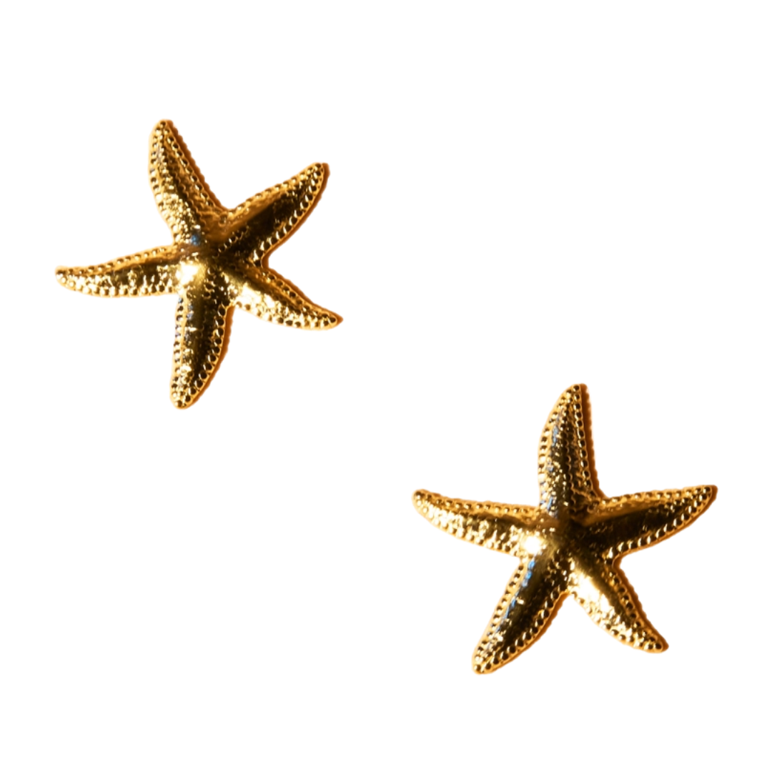 A Star is Born Gold Stud Earrings