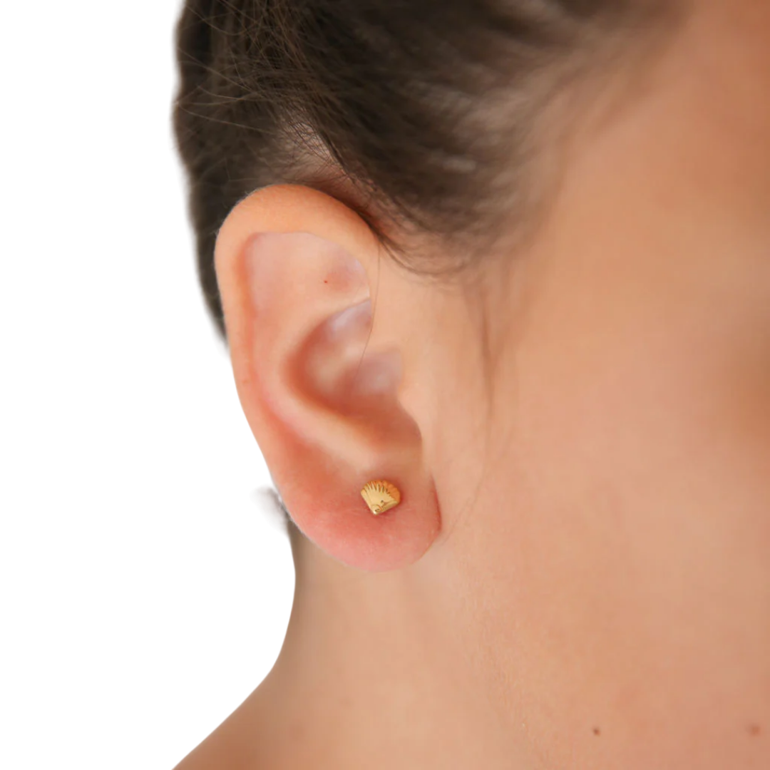 Seashell Stud Earrings
