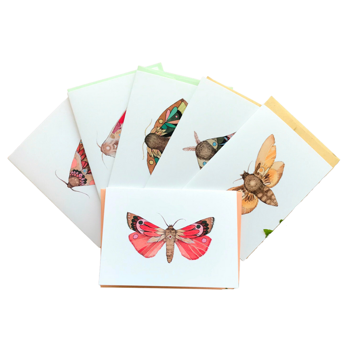 Collector: Moths Set 1 - Small Greeting Card Pack