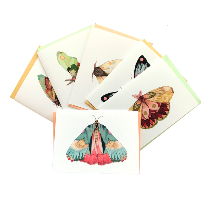 Collector: Moths Set 2 - Small Greeting Card Pack