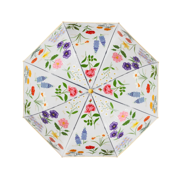 Garden Study Clear Umbrella