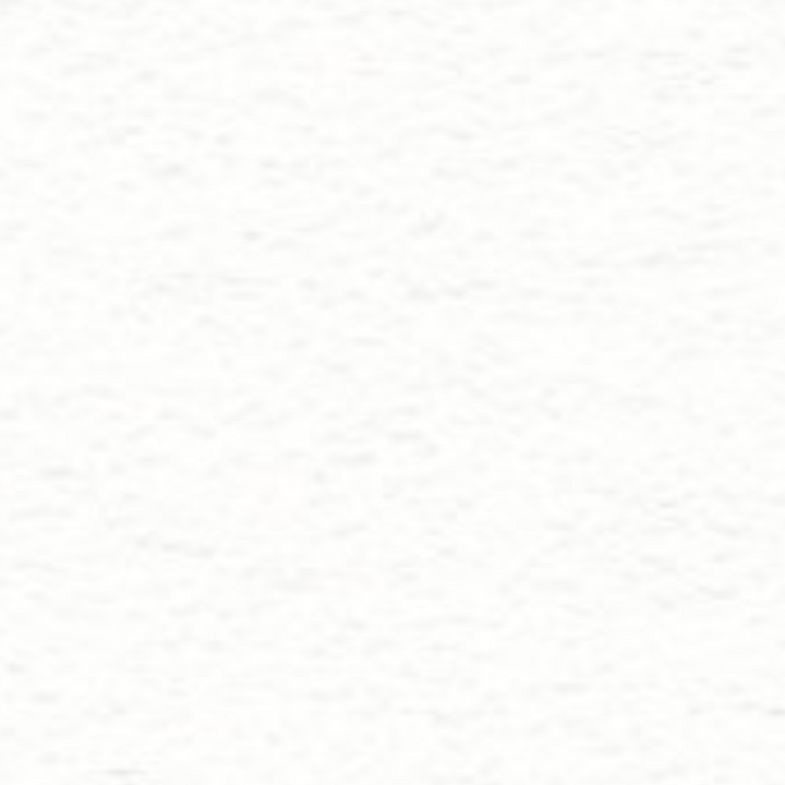 FW Liquid Acrylic Ink 6oz - White