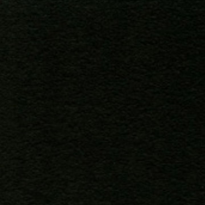 FW Liquid Acrylic Ink 6oz - Black (India)