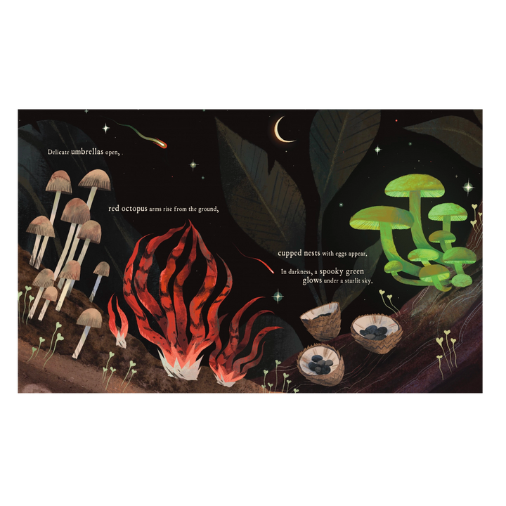 Mushroom Rain Picture Book