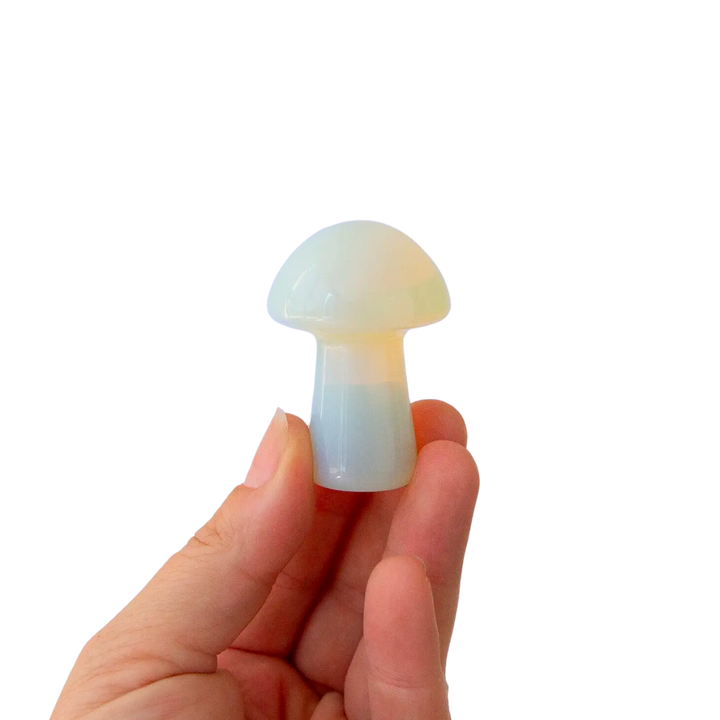 Opal Mushroom