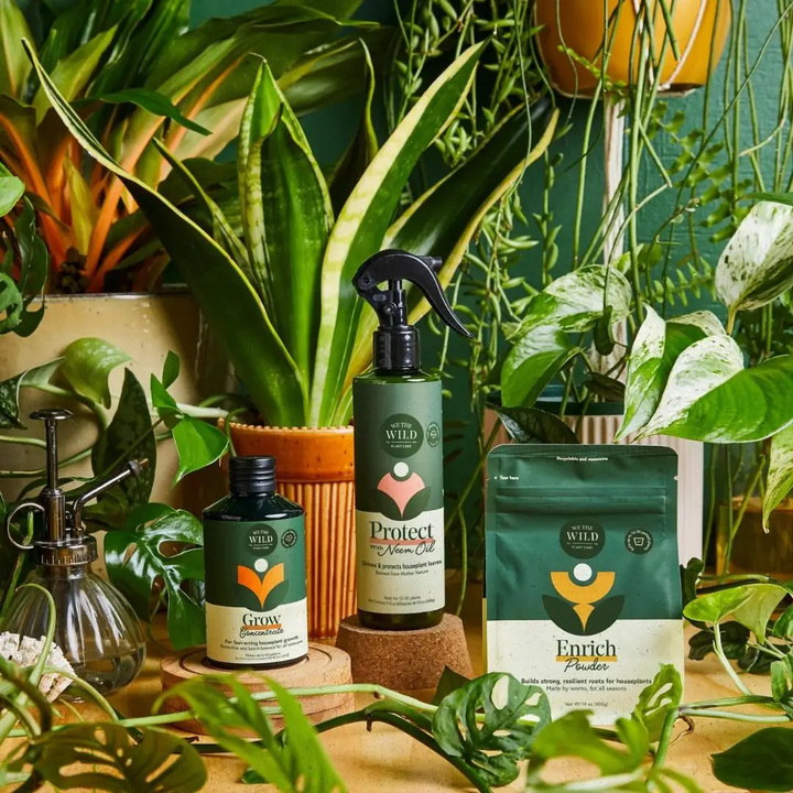 Houseplant Care Taster Kit