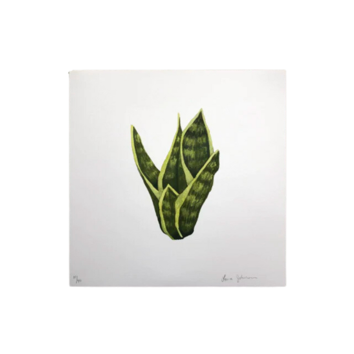 Snake Plant Art Print