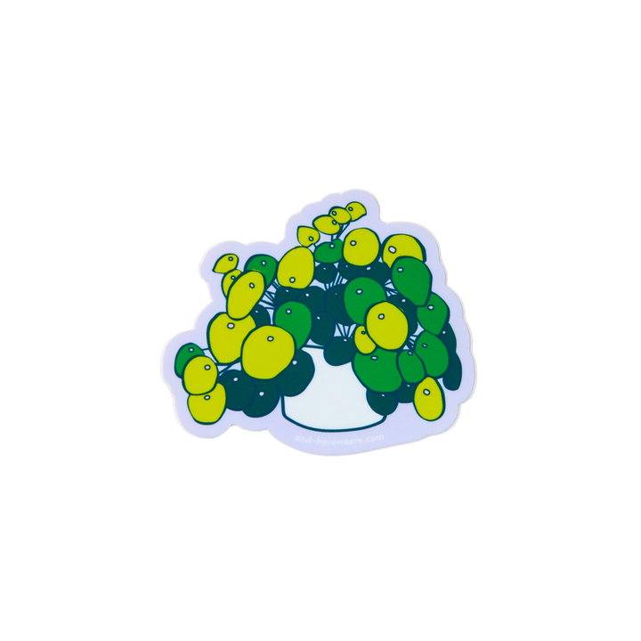 Pilea Plant Vinyl Sticker