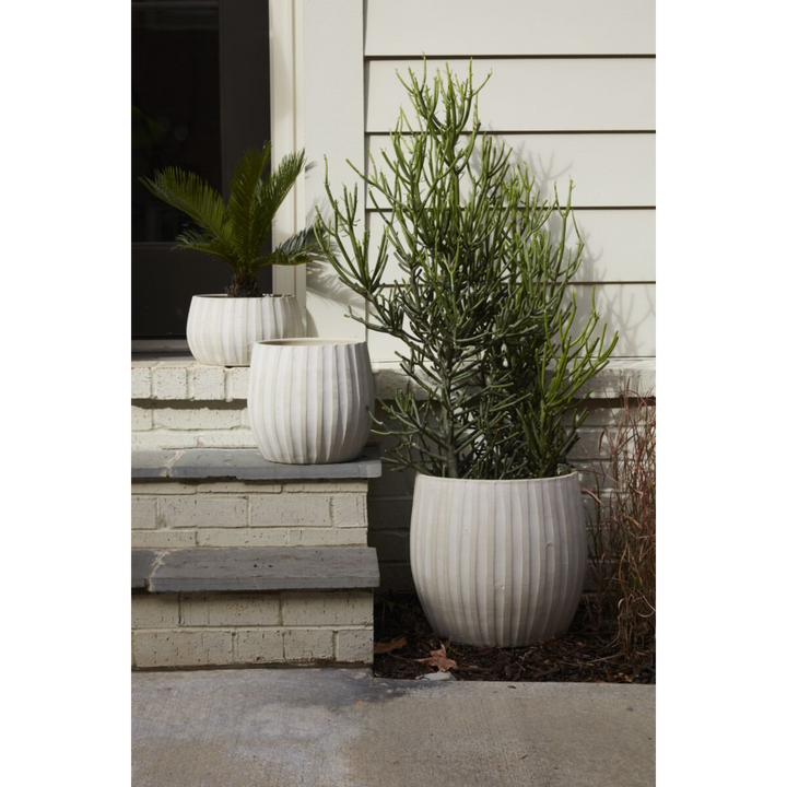 Arid Pot Collection