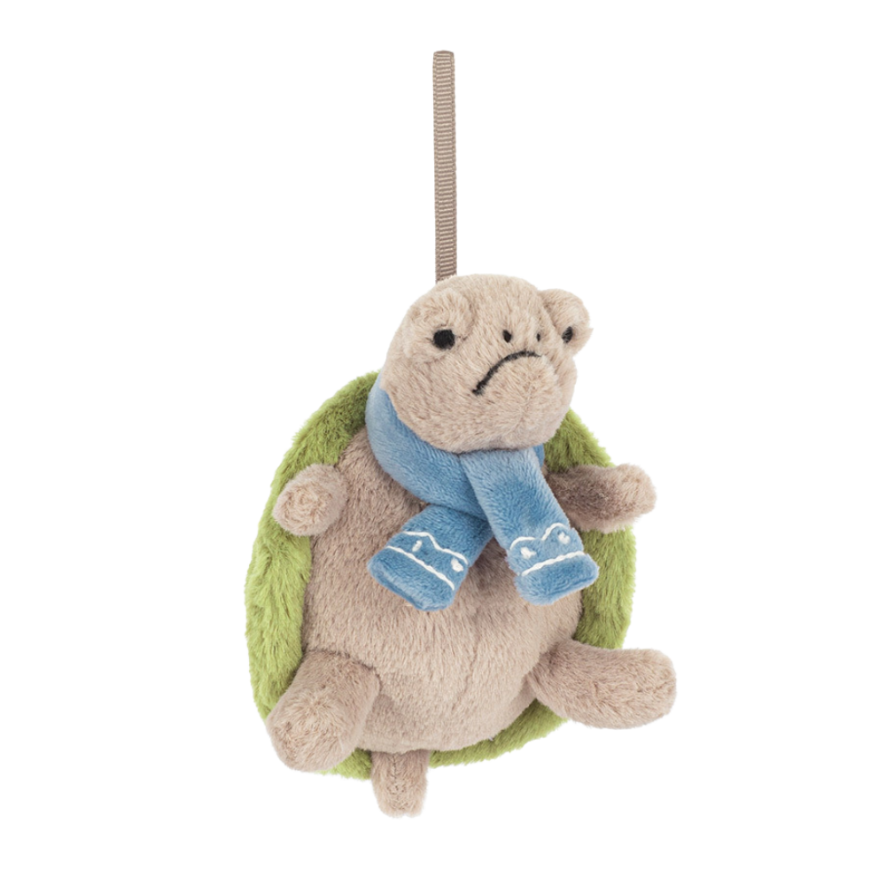 Timmy Turtle Decoration