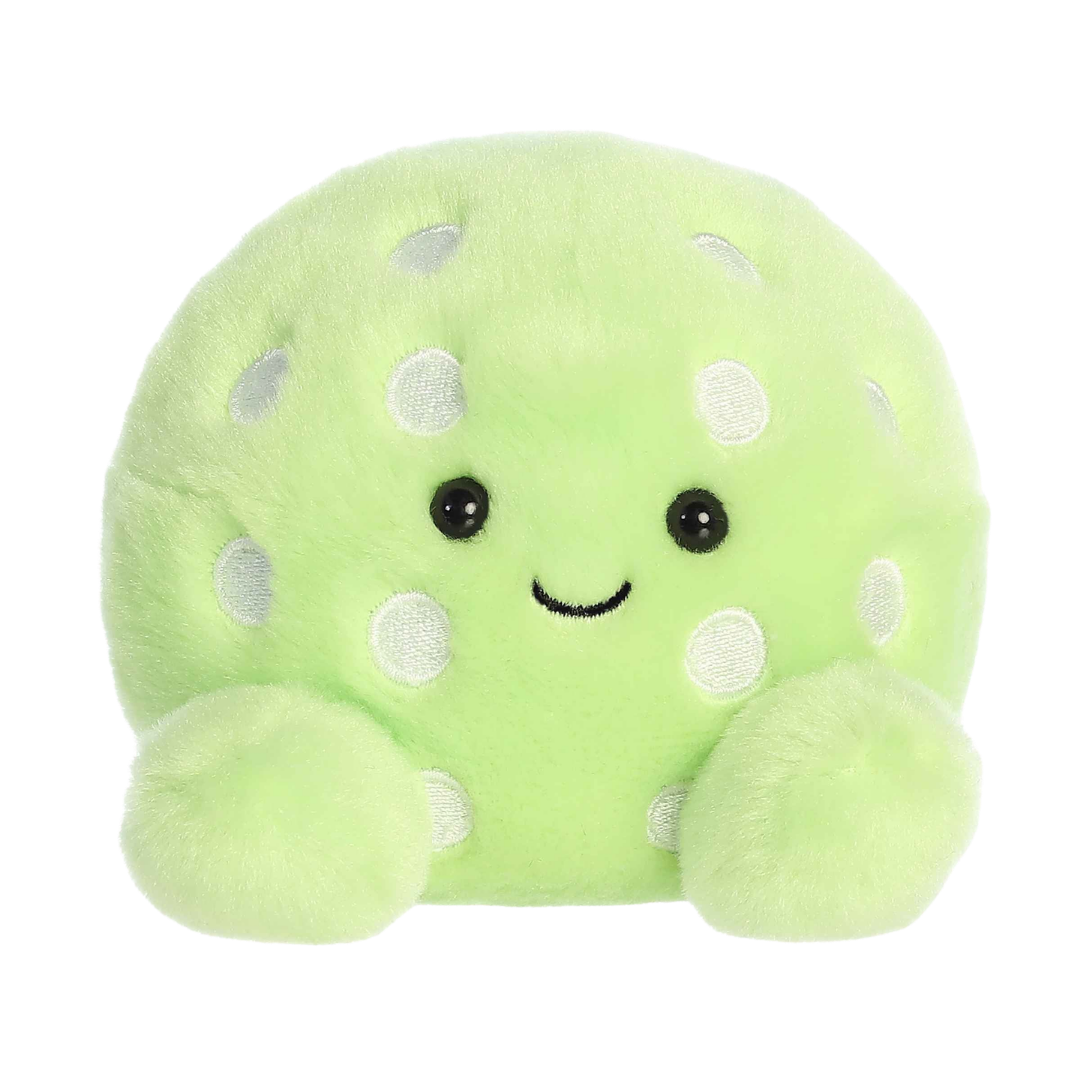 Steve Pickleball
