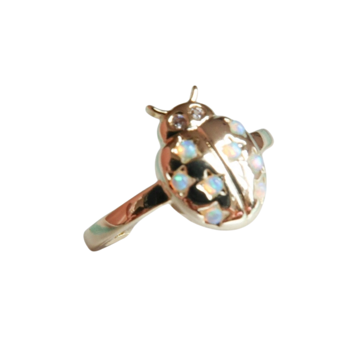 Adjustable Good Things Coming Ladybug Ring