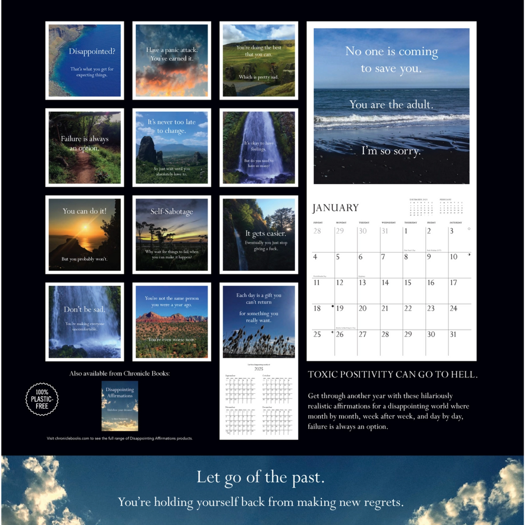 Disappointing Affirmations 2026 Wall Calendar