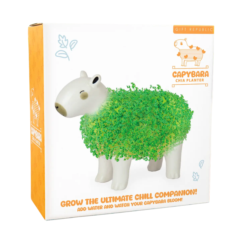 Capybara Chia Planter