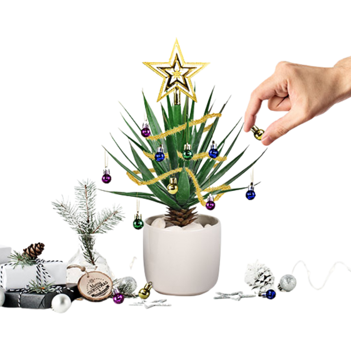 Festive Plant Baubles - Mini Christmas Tree Decorations